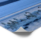 Shasta California Poster (Ecke)