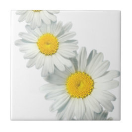 Shasta Daisies Fliese