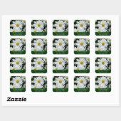 Shasta Daisies Foto Quadratischer Aufkleber (Blatt)