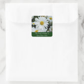 Shasta Daisies Foto Quadratischer Aufkleber (Tasche)