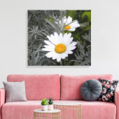 Shasta Daisies gepackte Leinwand (Insitu (Wohnzimmer))