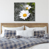 Shasta Daisies gepackte Leinwand (Insitu (Schlafzimmer))