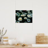 Shasta Daisies II Poster (Küche)