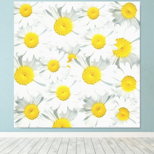 Shasta Daisies Leinwanddruck (Insitu (Holzboden))