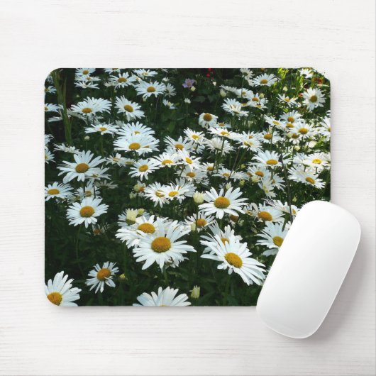 Shasta Daisies Mousepad (Mit Mouse)