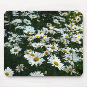 Shasta Daisies Mousepad