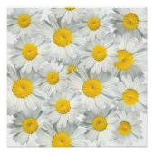 Shasta Daisies Poster (Vorderseite)