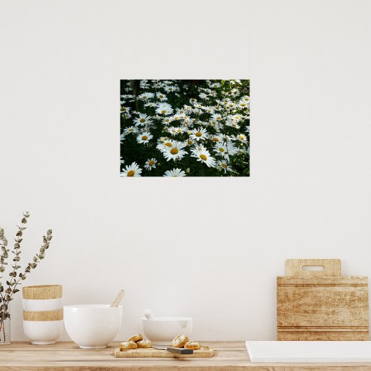 Shasta Daisies Poster (Küche)