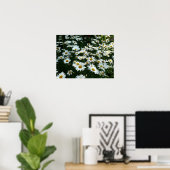 Shasta Daisies Poster (Heimbüro)