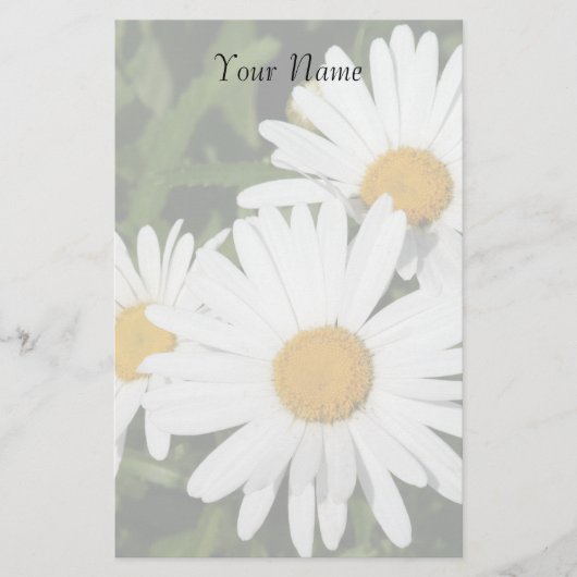 Shasta Daisies Stationary Briefpapier (Vorderseite)