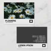 Shasta Daisies Visitenkarte (Vorne/Hinten)