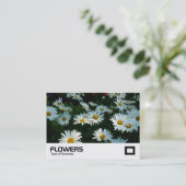 Shasta Daisies Visitenkarte (Stehend Vorderseite)