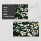 Shasta Daisies Visitenkarte (Vorne/Hinten)