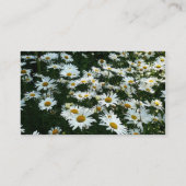 Shasta Daisies Visitenkarte (Rückseite)