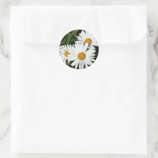 Shasta Daisy Aufkleber (Tasche)
