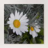 Shasta Daisy Blume und Artemisia Puzzle (Horizontal)