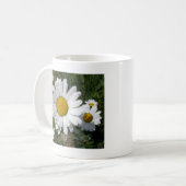 Shasta Daisy (höchstens Chrysanthemum) Kaffeetasse (Vorderseite Links)