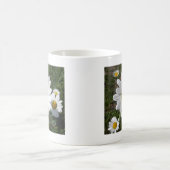 Shasta Daisy (höchstens Chrysanthemum) Kaffeetasse (Mittel)