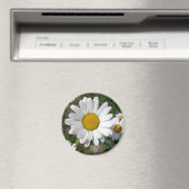 Shasta Daisy (höchstens Chrysanthemum) Magnet (In Situ (Geschirrspüler))