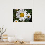 Shasta Daisy (höchstens Chrysanthemum) Poster (Küche)