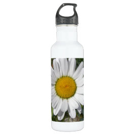 Shasta Daisy (höchstens Chrysanthemum) Trinkflasche
