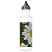 Shasta Daisy (höchstens Chrysanthemum) Trinkflasche (Links)