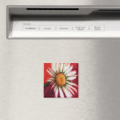 Shasta Daisy II Magnet (In Situ (Geschirrspüler))