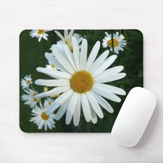 Shasta Daisy Mousepad (Mit Mouse)