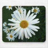 Shasta Daisy Mousepad (Vorne)