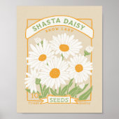 Shasta Daisy Poster (Vorne)