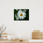 Shasta Daisy Poster (Küche)