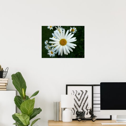 Shasta Daisy Poster (Heimbüro)