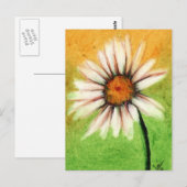 Shasta Daisy / Postkarten (Vorne/Hinten)