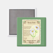 Shasta Daisy Seed Packet Magnet (Vorderseite/Rückseite)