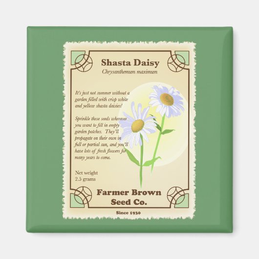 Shasta Daisy Seed Packet Magnet (Vorne)