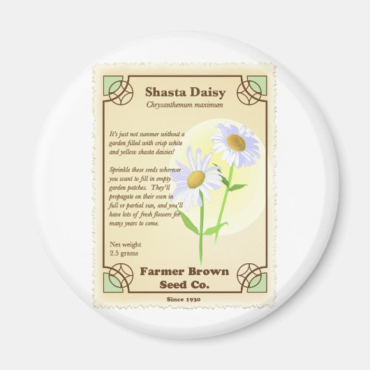 Shasta Daisy Seed Packet Magnet (Vorne)