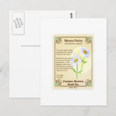 Shasta Daisy Seed Packet Postkarte (Vorne/Hinten)