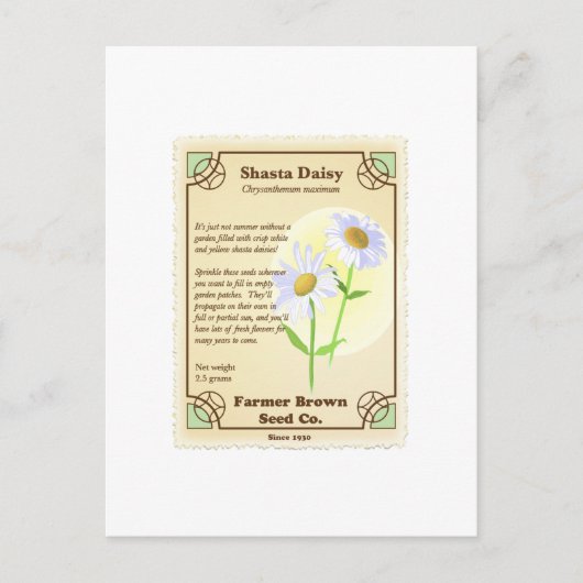 Shasta Daisy Seed Packet Postkarte (Vorderseite)