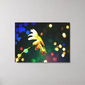 Shasta Daisy Sparkle Wrapped Canvas Leinwanddruck (Vorderseite)