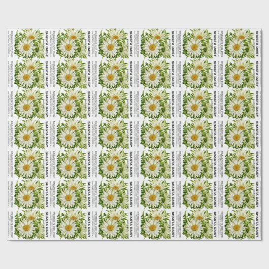 Shasta Daisy Vintag Seed Packet Geschenkpapier (Flach)