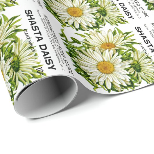 Shasta Daisy Vintag Seed Packet Geschenkpapier (Rolleneckpunkt)