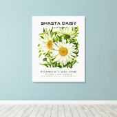 Shasta Daisy Vintag Seed Packet Leinwanddruck (Insitu (Holzboden))
