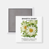 Shasta Daisy Vintag Seed Packet Magnet (Vorderseite/Rückseite)