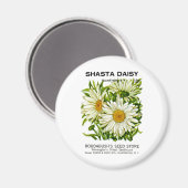 Shasta Daisy Vintag Seed Packet Magnet (Vorderseite/Rückseite)