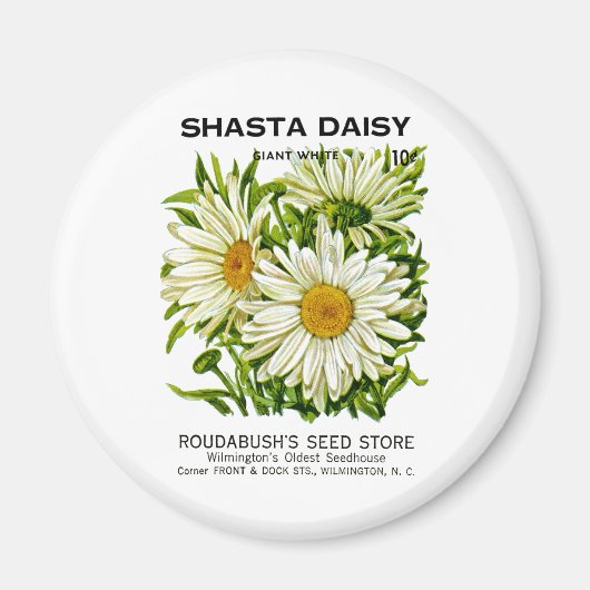 Shasta Daisy Vintag Seed Packet Magnet (Vorne)