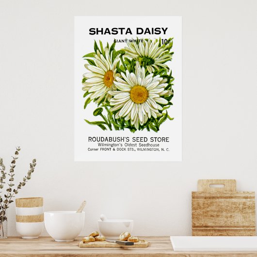 Shasta Daisy Vintag Seed Packet Poster (Küche)