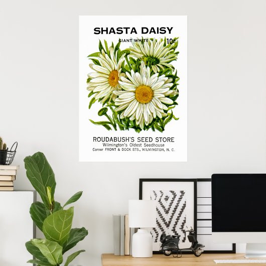 Shasta Daisy Vintag Seed Packet Poster (Heimbüro)
