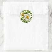 Shasta Daisy Vintag Seed Packet Runder Aufkleber (Tasche)