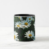 Shasta Gänseblümchen II Tasse (Zentrum)