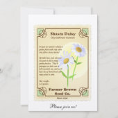 Shasta Gänseblümchen-Samen-Paket Einladung (Vorderseite)
